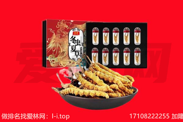 鹤壁市浚县回收虫草.jpg